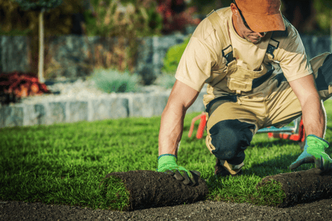 man laying sod