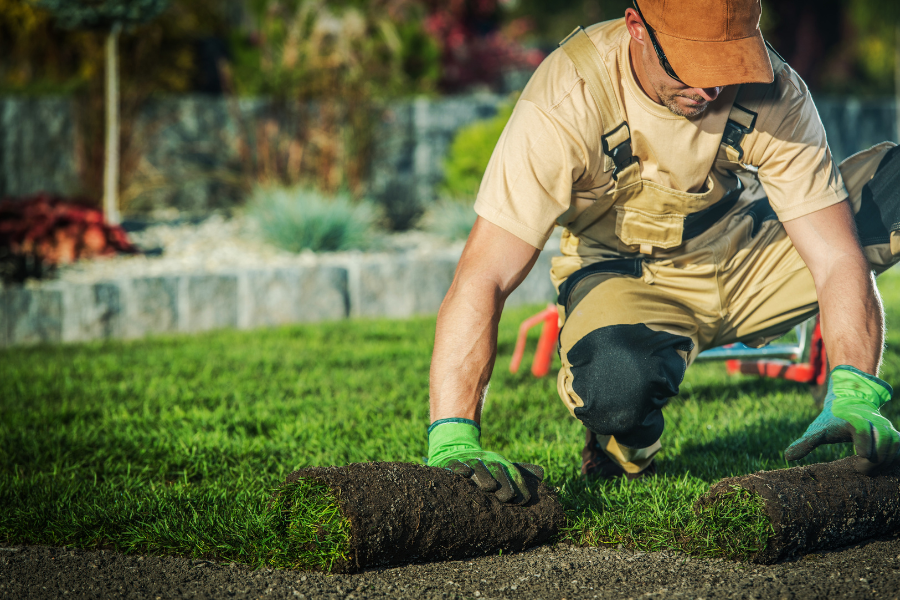 A Landcrafters pro lays sod at an HOA commercial landscaping in Tampa Bay. 