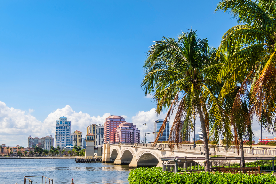 Native florida palm trees are part of the sustainable landscaping practices mission from Landcrafters.