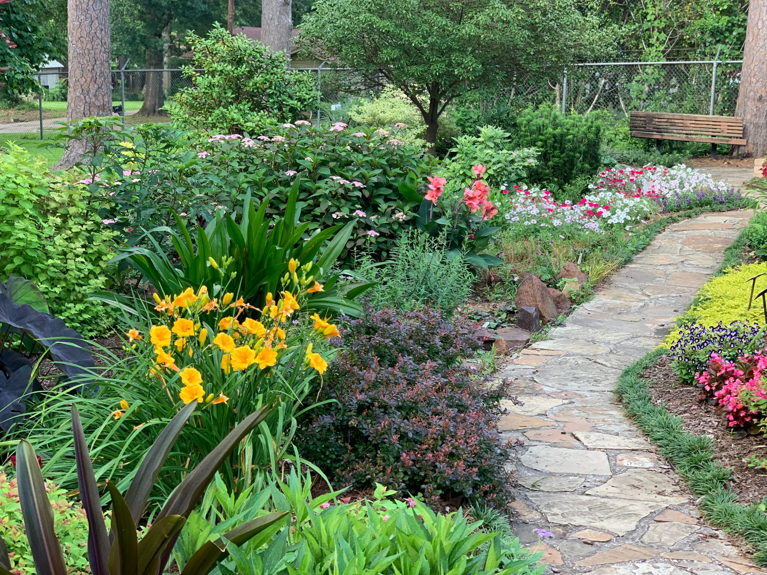 A Florida walkway with commercial shrubs is shown.