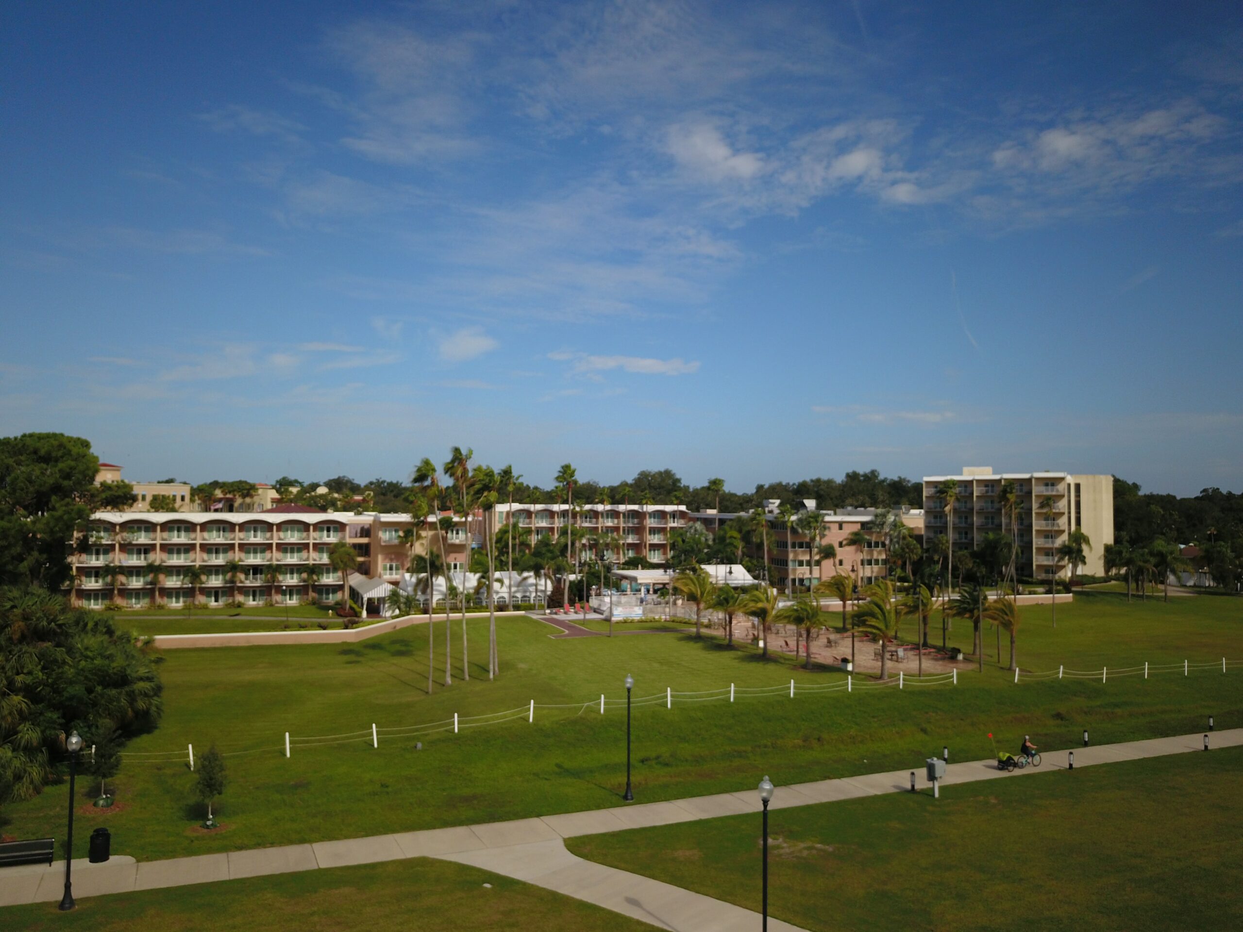 Tampa Bay commercial landscaping services help you avoid the bigger costs down the road.