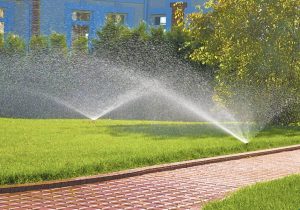 Keep Your Lawn Green 
