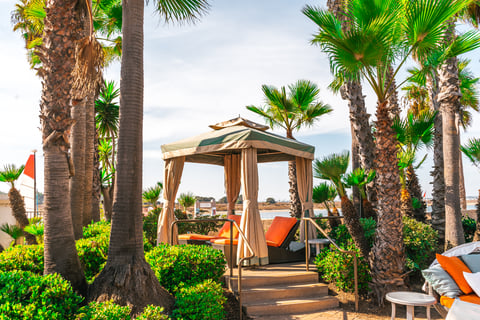 tropical cabana with palm trees