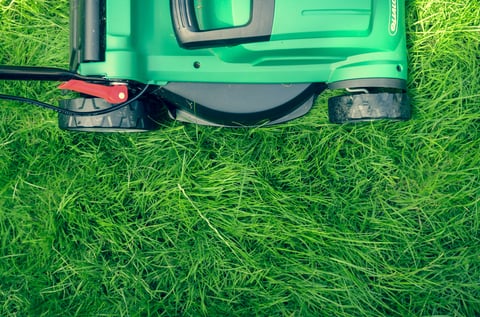 lush green grass with mower