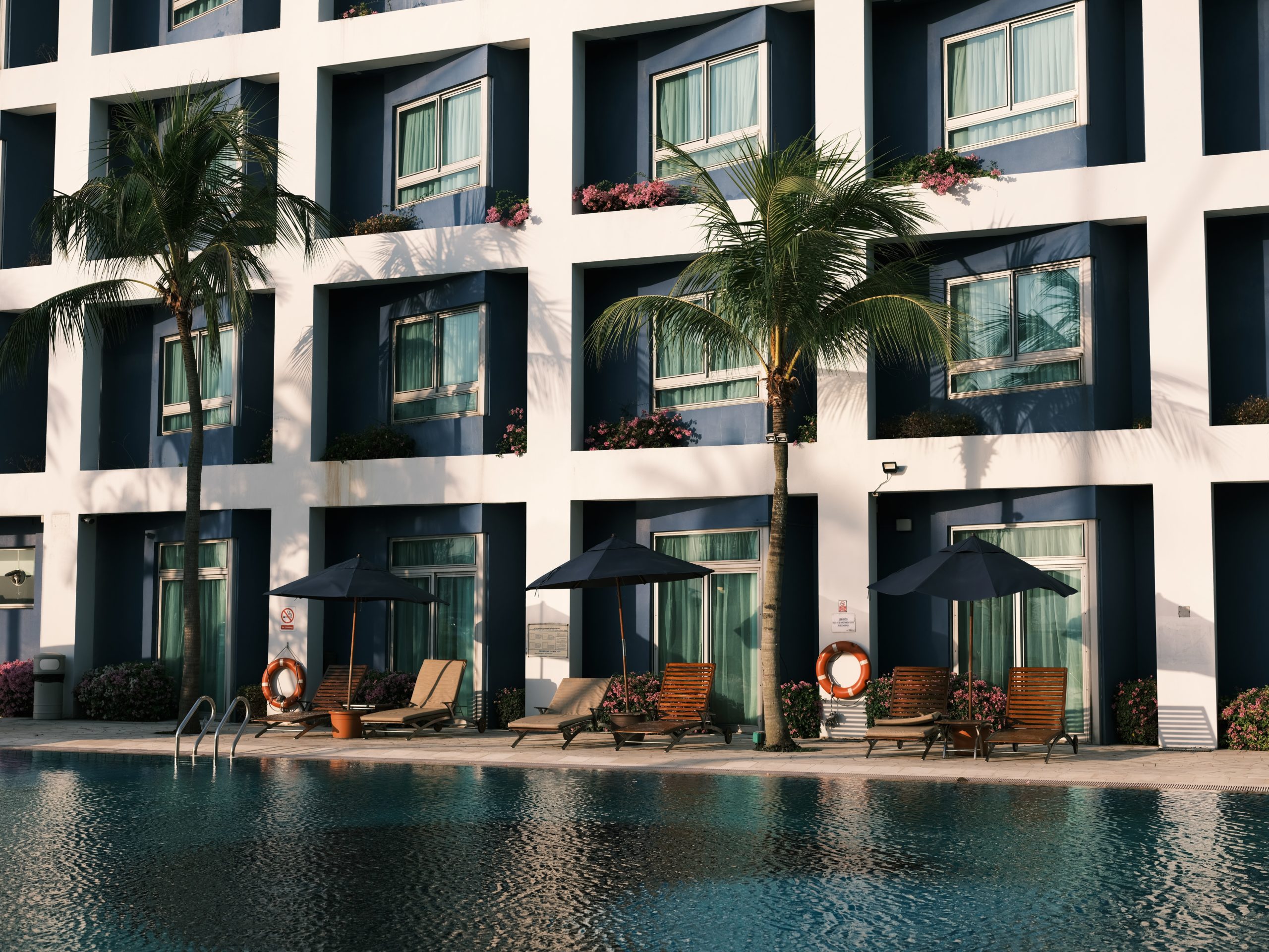 One of the biggest Tampa bay commercial landscaping mistakes is focusing just on the ground–pictured are beautifully landscaped trees. 