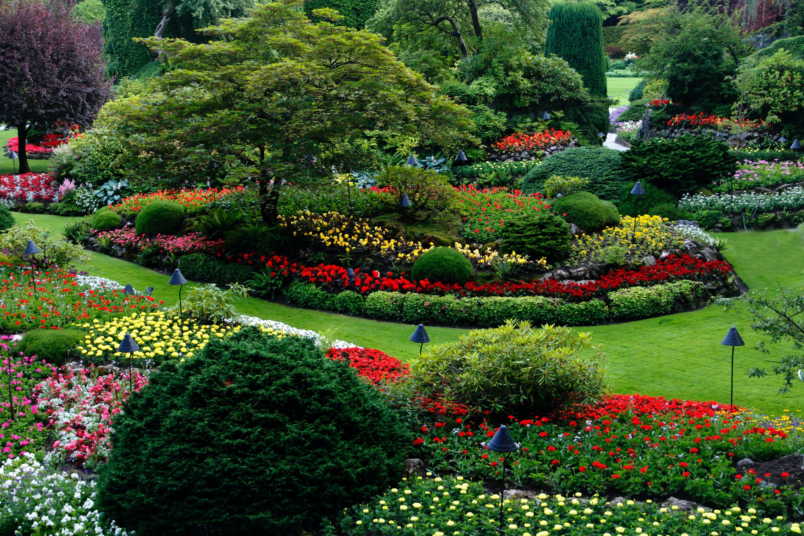 Fun and bright flowers are a key element in Tampa Bay landscaping. 