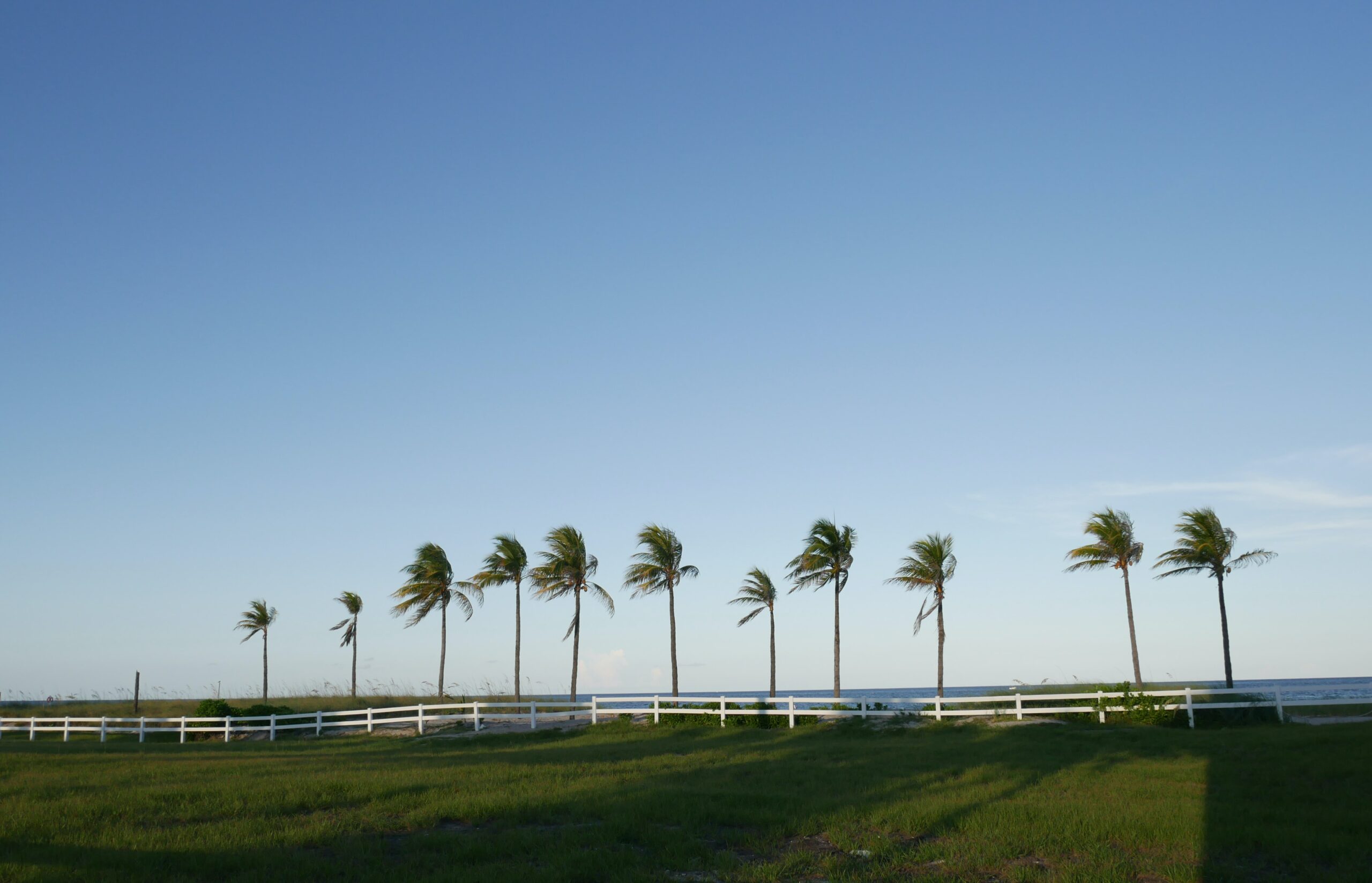 Florida isn't just palm trees–there's plenty of room for Autumn foliage in Tampa bay, too!