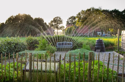 sprinkler spraying water in lawn and garden