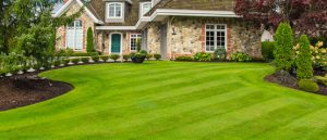Drainage System For Home’s Landscape