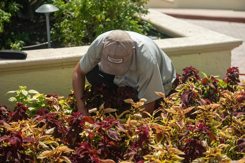 commercial HOA crew maintenance flower beds