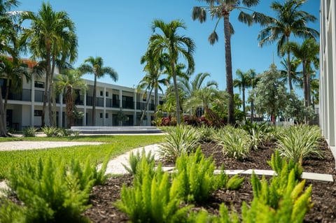 commercial property green lawn landscape beds paths 6