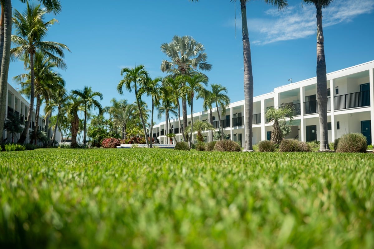 commercial property green lawn landscape beds paths green lawn