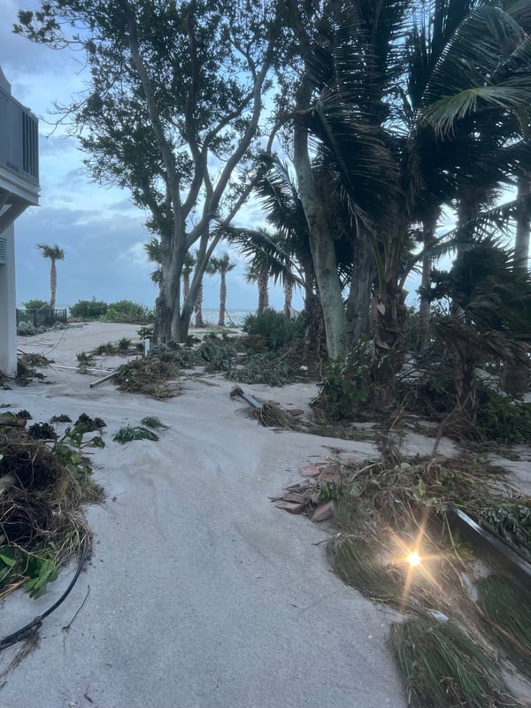 hurricane storm damage on beach from trees