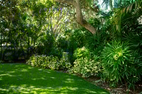 residential landscape beds green lawn 1