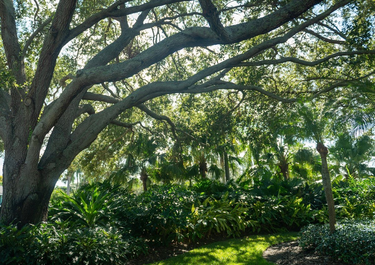 residential landscape landscape beds green lawn 3