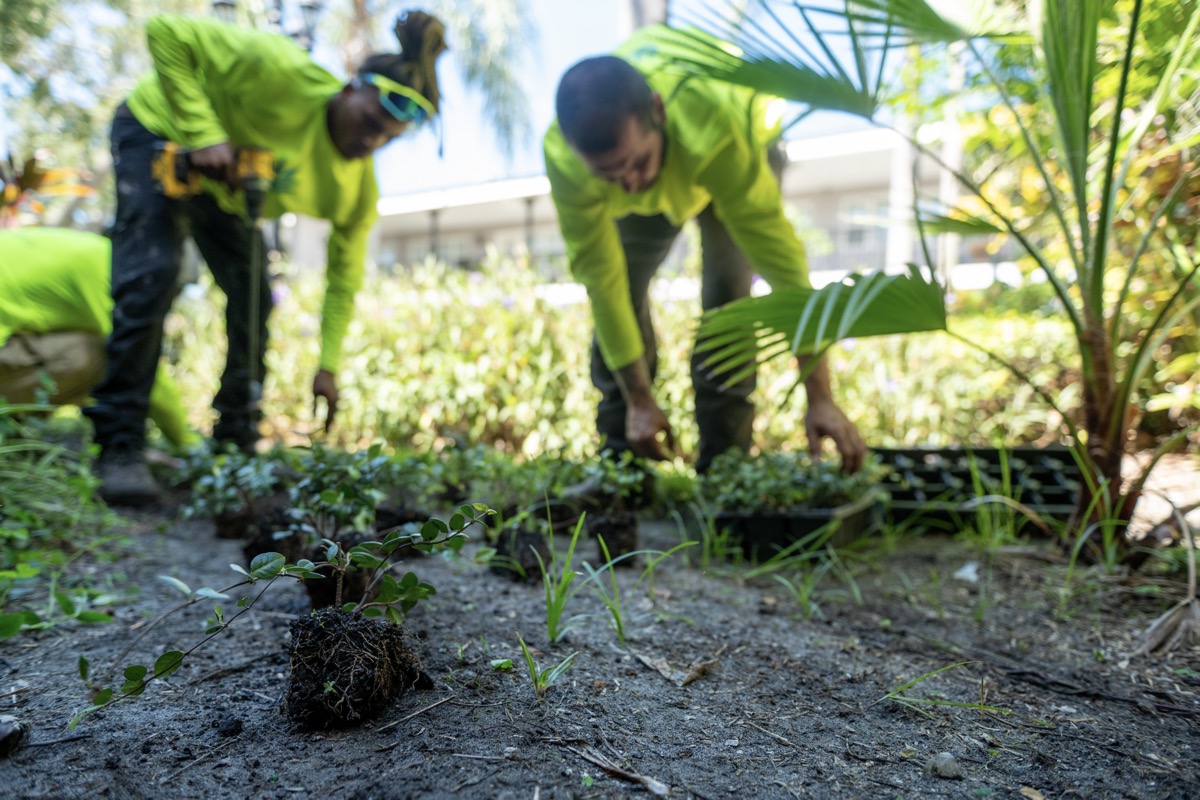 Crew maintenace landscape 16