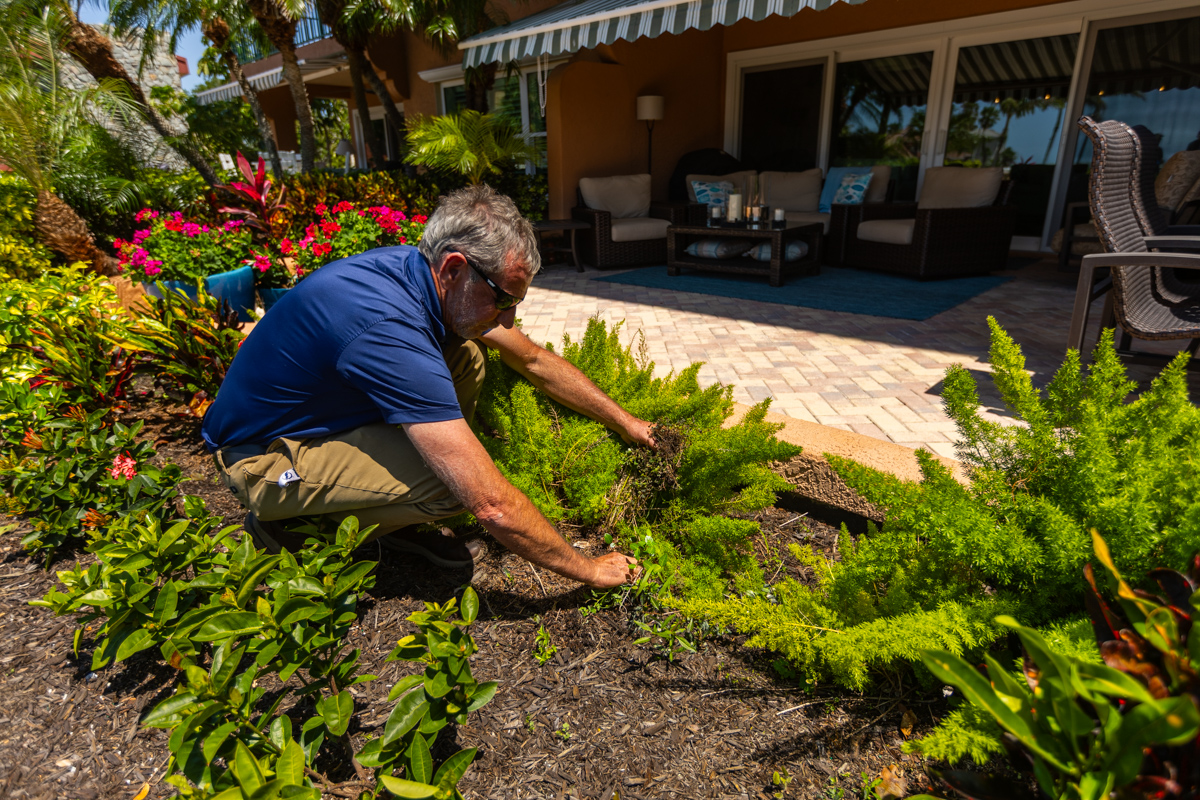 bed maintenance flowers containers account manager 5