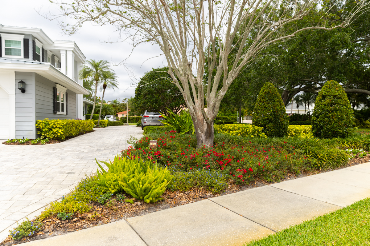plant bed flowers shrubs tree sidewalk grass driveway home