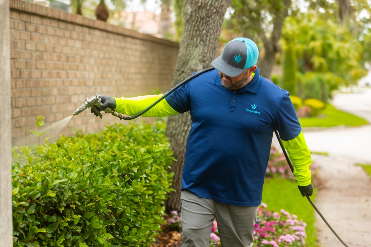 plant health care shrub spraying treatment crew