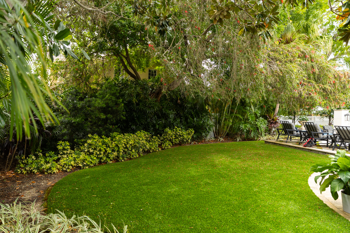 shrubs plant bed tree grass lawn mulch 2