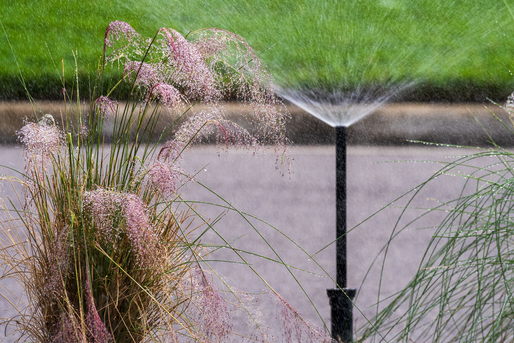 Irrigation system watering plants along street