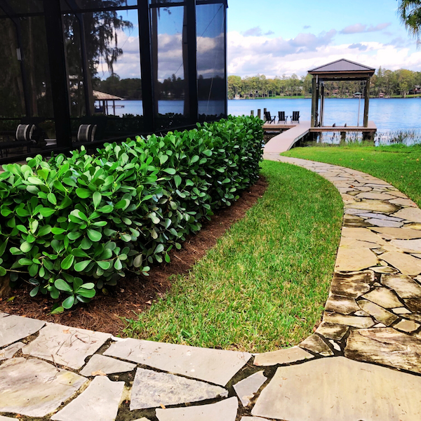 Lakeside backyard dock with paver walkway