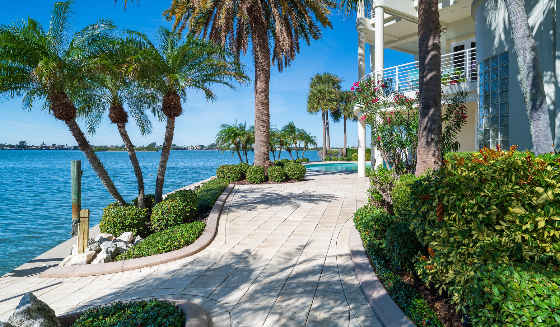 landscaping around walkway with palm trees