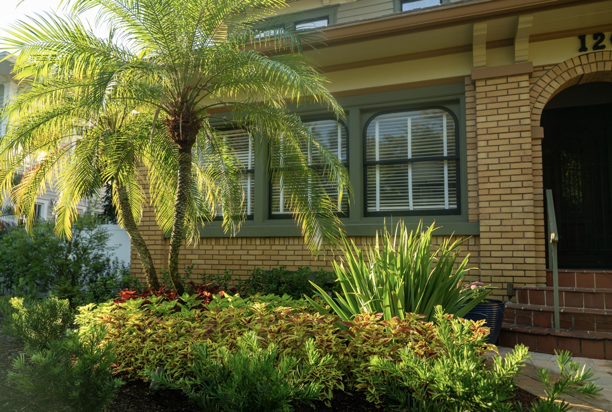 Residential landscape front of house landscape bed 1