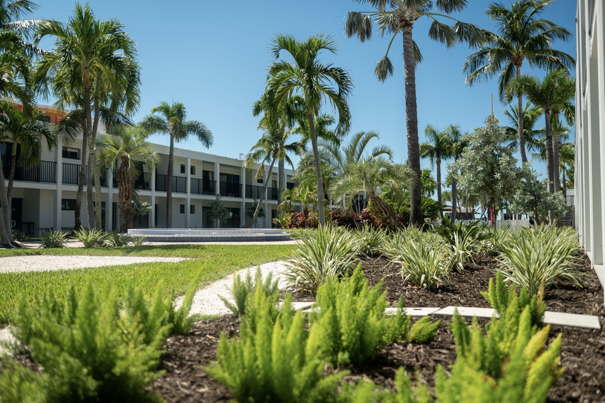 landscape beds with edges