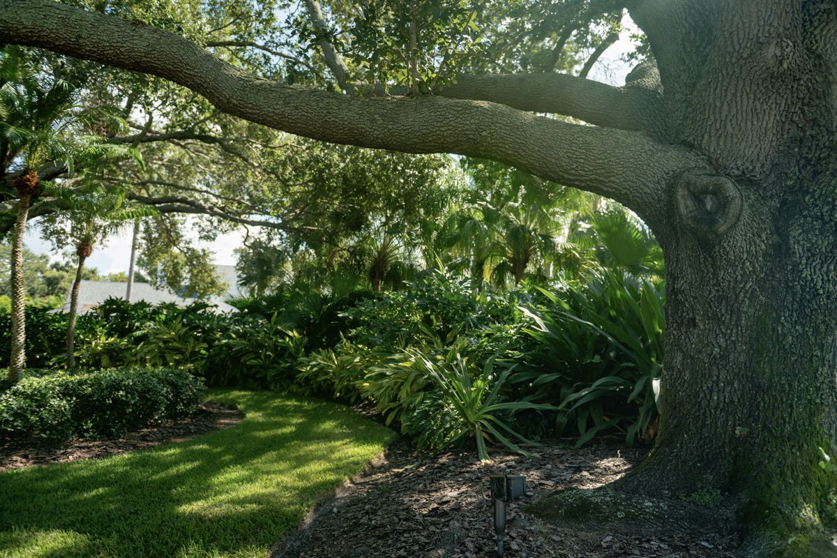 residential landscape landscape beds green lawn 2